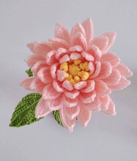 Crochet Dahlia Free Pattern