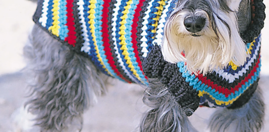 Striped Crochet Dog Coat Pattern