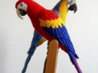 Red Macaw Amigurumi – Free Crochet Pattern