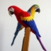 Red Macaw Amigurumi – Free Crochet Pattern