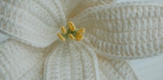 Crochet Lily Flower Pattern: A Step-by-Step Guide