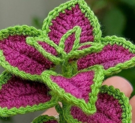 Crochet Plant Pot with Leaves Free Pattern