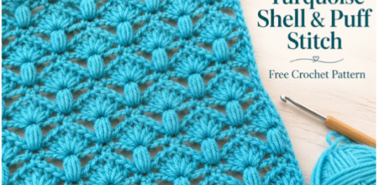 Turquoise Shell & Puff Crochet Stitch